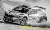 Skoda Fabia R5 EVO, Rallye Portugal 2019