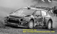 Citroen C3 WRC, Rallye Finnland 2019