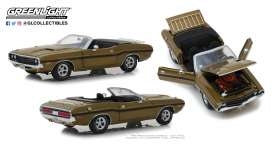 Dodge Challenger R-T Convertible 1970 With Luggage Rack