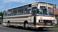 Ikarus 256 beige / bruin