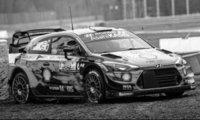 Hyundai i20 Coupe WRC, No.6, Rallye Monza, D.Sordo/C.Del Barrio, 2020