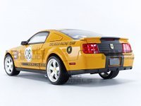 FORD MUSTANG SHELBY GT - TERLINGUA RACE VERSION ,nr8