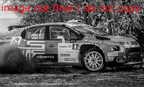 Citroen C3 Rally2, No.6, ERC, Rally Ungarn, M.Öst