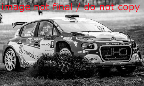 Citroen C3 Rally2, No.9, ERC, Rally Ungarn, Y.Bona