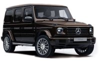 MERCEDES-BENZ G-CLASS (W 463) – 2020 – BRUN METALLIC