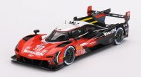 CADILLAC V-SERIES.R N°311 ACTION EXPRESS RACING 24H LE MANS 2023