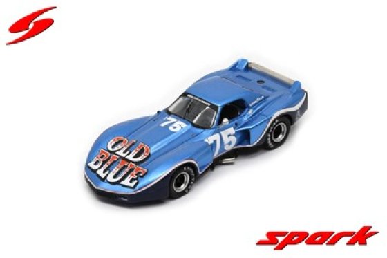Corvette Greenwood No.75 Road America 1975 John Greenwood