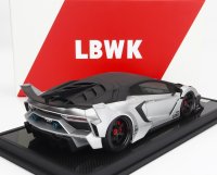 LAMBORGHINI - AVENTADOR GT EVO LBWK LB-WORKS 2019 - SILVER CARBON BLACK