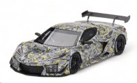 CHEVROLET CORVETTE C8 Z06 GT3.R SEBRING TEST CAR 2023