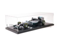 MERCEDES AMG PETRONAS F1 TEAM W05 LEWIS HAMILTON WORLD CHAMPION 2014