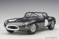 JAGUAR LIGHTWEIGHT E-TYPE 2015, full openings