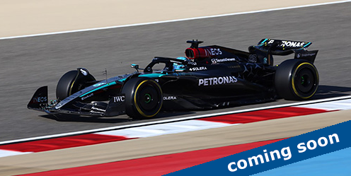 MERCEDES-AMG PETRONAS FORMULA ONE TEAM F1 W15 E PE