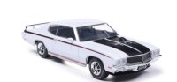 Buick GSX, weiss/schwarz, 1970