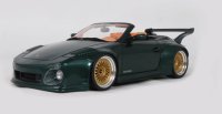 OLD & NEW TOKYO AUTO SALON GREEN 2024