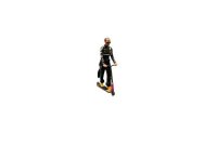 Hamilton skate scooter 2021