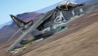 McDonnell Douglas AV-8B Harrier II, VMA-214, 2009