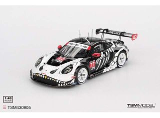 PORSCHE 911 (992) GT3 R #77 GTD PRO AO RACING PETIT LE MANS 2025
