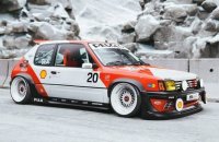 PEUGEOT - 205 1.9 GTi N 20 BLACK FISH M TRIBUTE 1990