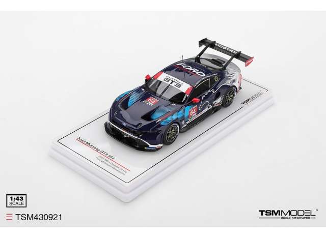 FORD USA - MUSTANG GT3 5.4L V8 TEAM MULTIMATIC MOT