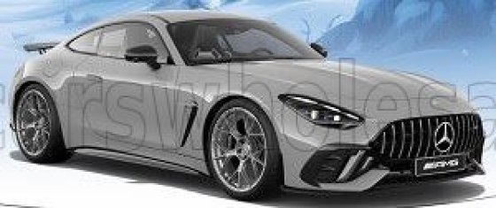 MERCEDES BENZ - GT AMG PRO 2025 - ALPIN GREY