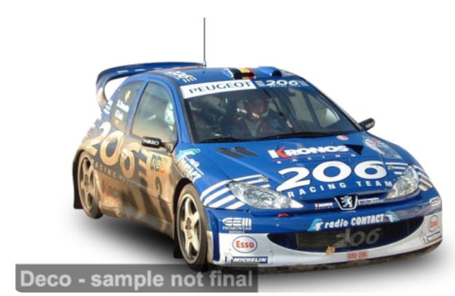 Peugeot 206 WRC, Rallye du Condroz, 2003, #2, F.Lo